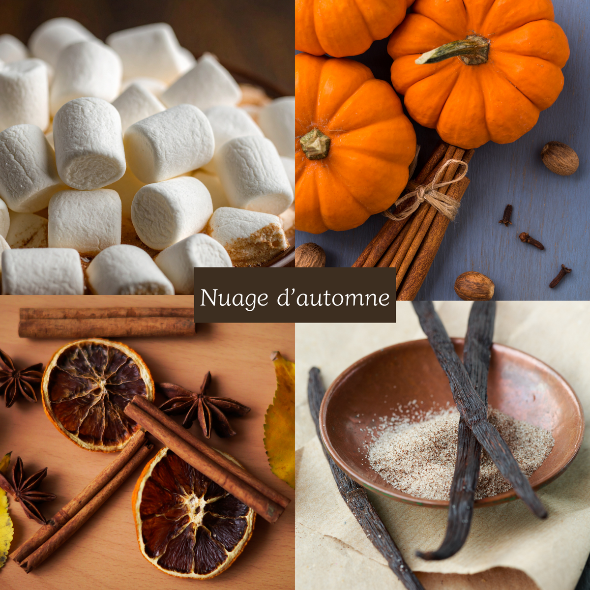 Bougie Jesmonia automne - Golden Leaves