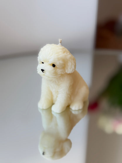 Bougie petit chien