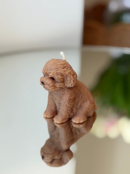Bougie petit chien