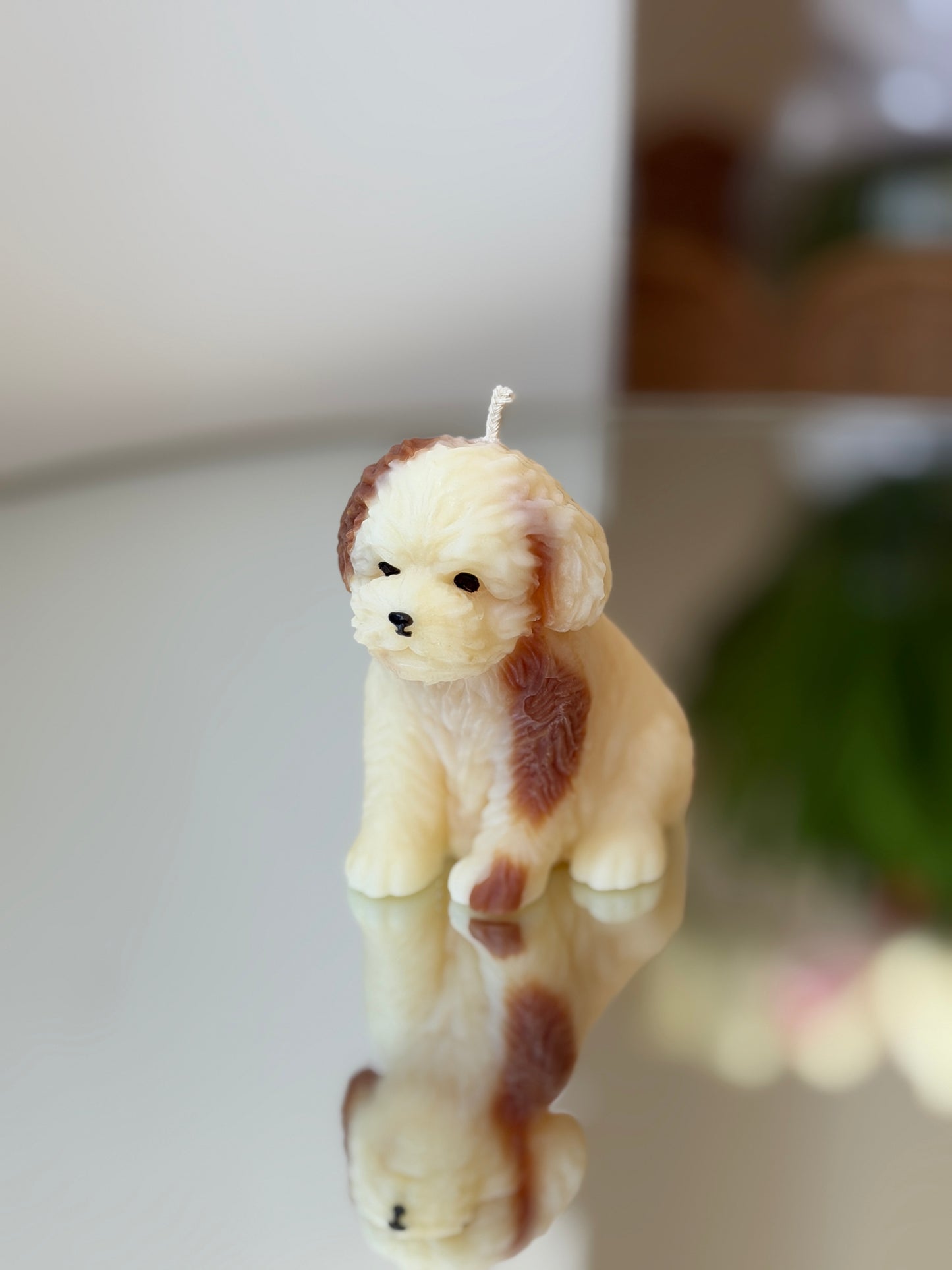 Bougie petit chien