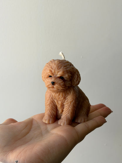 Bougie petit chien