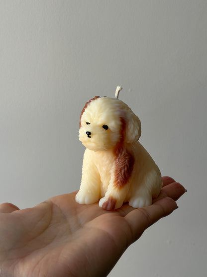 Bougie petit chien