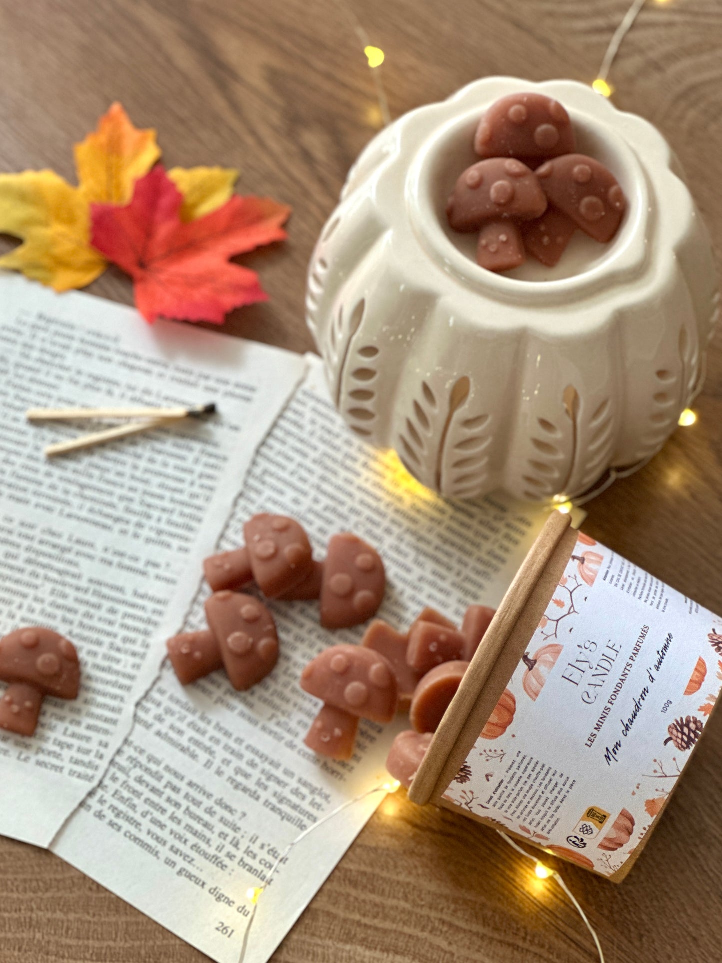 Mon chaudron d'automne : À personnaliser !