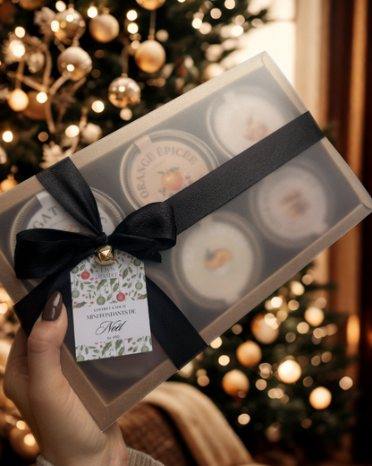 Coffret 6 mini fondants de noël